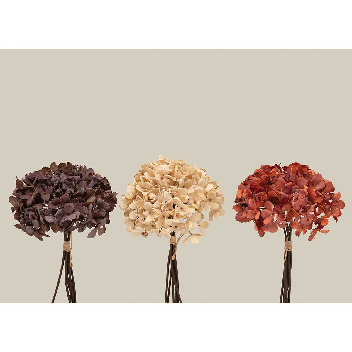 BUNDLE OF 6 HYDRANGEA CLAY 6IN X 11IN AUTUMN POLY TIED - Click Image to Close